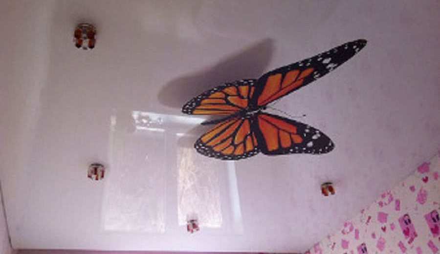 Фотография натяжного потолка с фотопечатью. Рисунок «Бабочка»