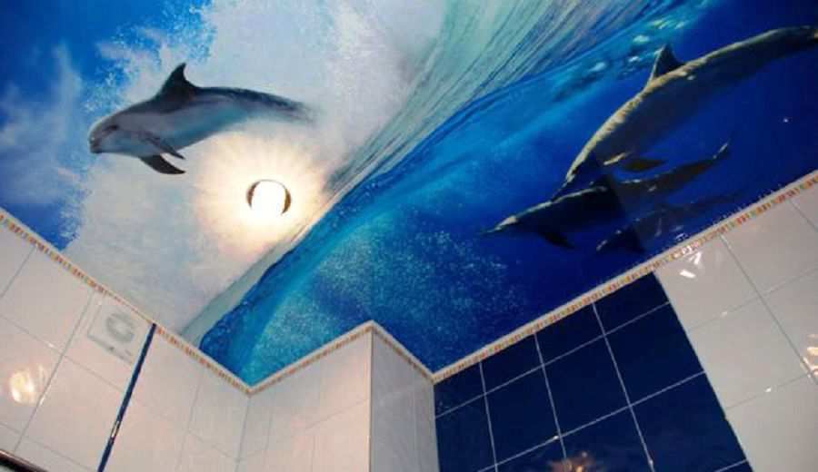 Фотография натяжного потолка с фотопечатью в ванной комнате. Рисунок «Дельфины»