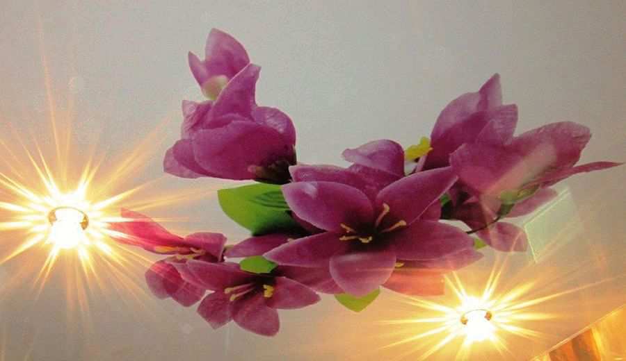 Фотография натяжного потолка с фотопечатью. Рисунок «Сиреневые цветы»